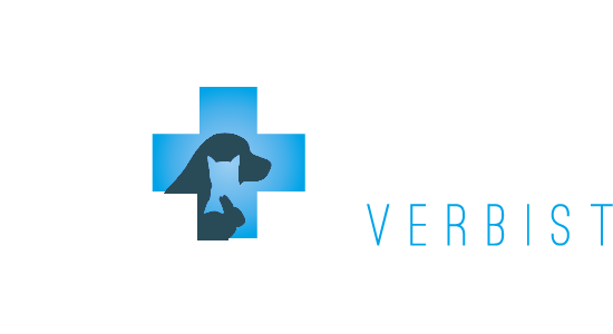 Dier+Arts
